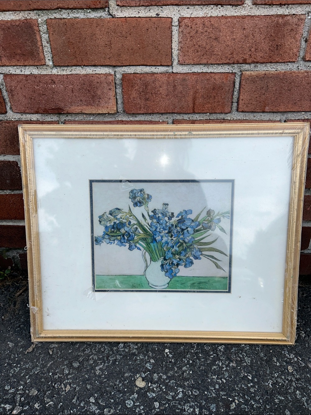 Irises by Van Gogh Vintage Floral Still Life Flowers Wall Art Canadian Print NWT